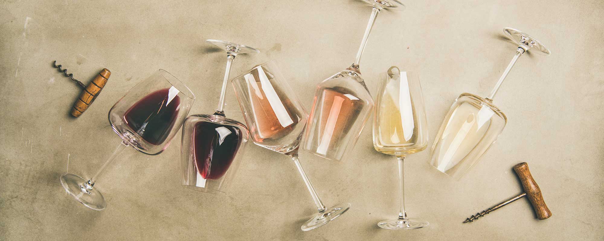 Weinproben im Weingut Häußer in Winnenden