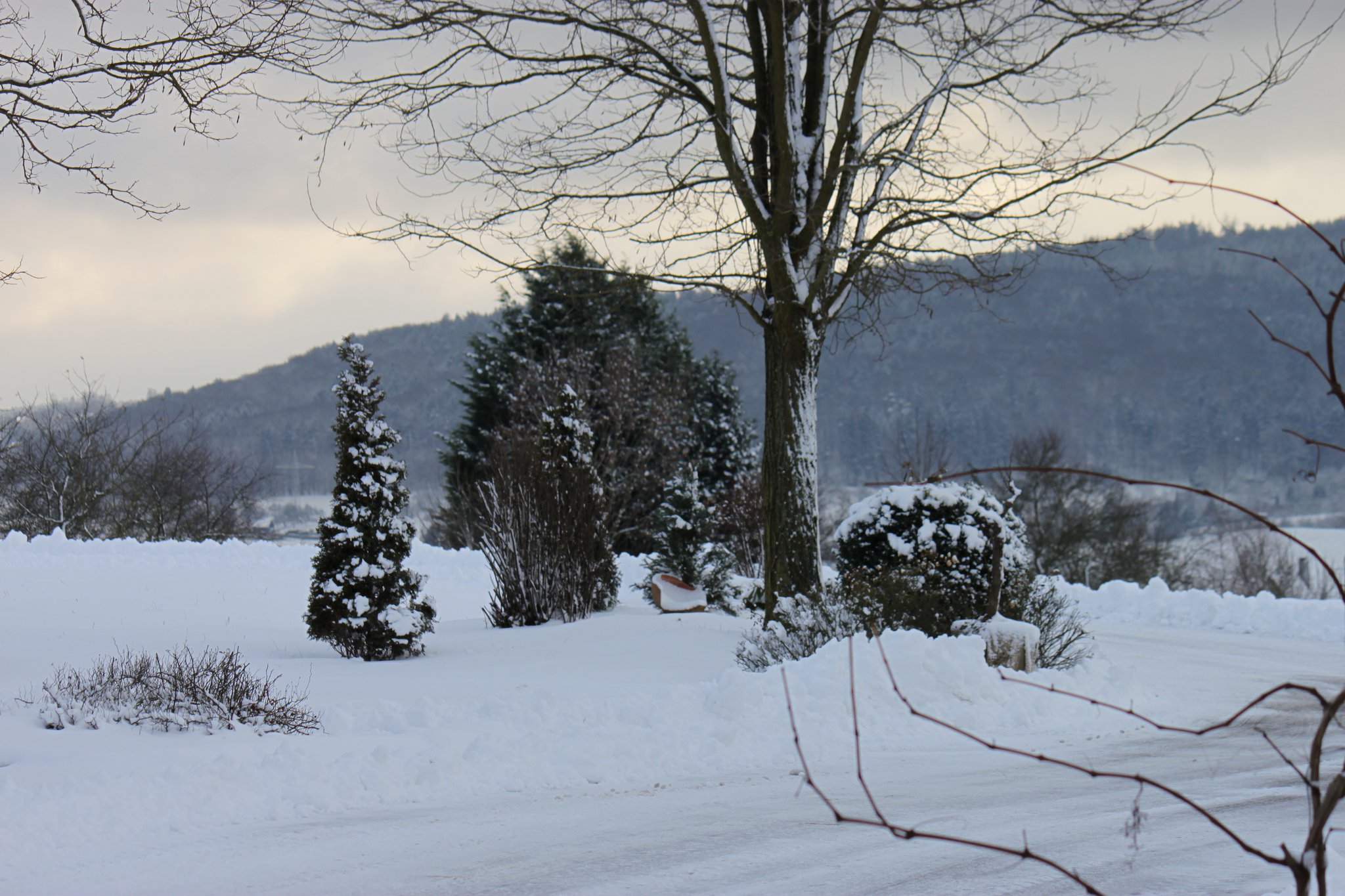 Winterbesen